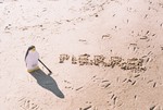 Pierre Plays in the Sand by Tom Houlihan