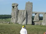 Pierre at Stonehenge by Pat Thompson
